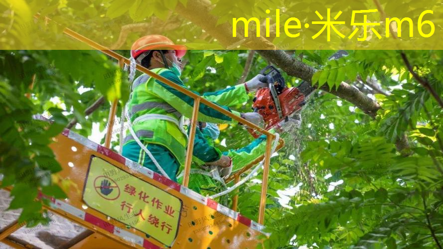 mile米乐m6官网：济南体育中心网球拍穿线