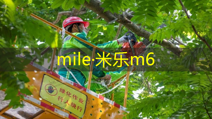 mile·米乐m6：网球拍如何钉在墙上装饰