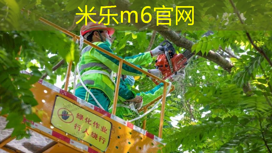 米乐m6官网：儿童初学者如何选网球拍