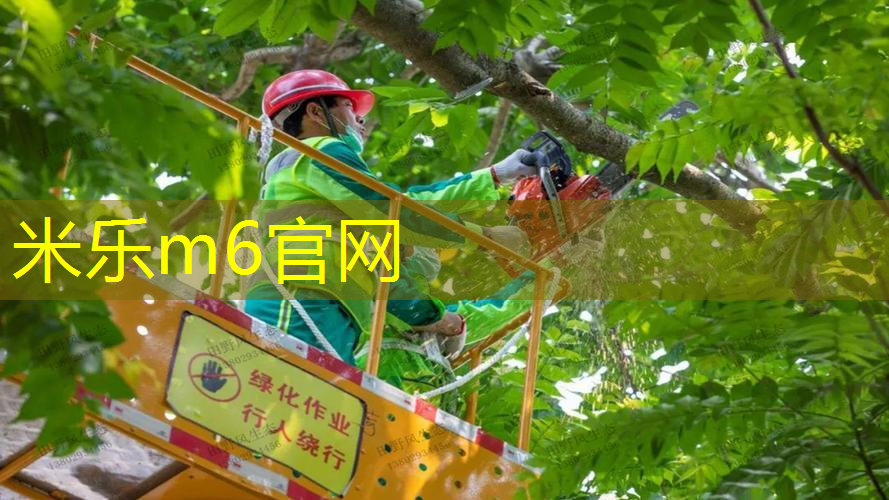 米乐m6官网登录入口：网球拍飞机上怎么放下来