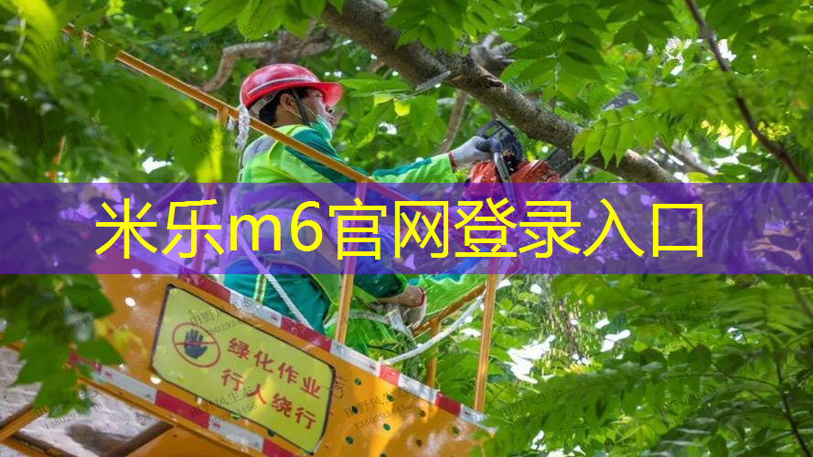 米乐m6官网：网球拍要贴握把胶吗_