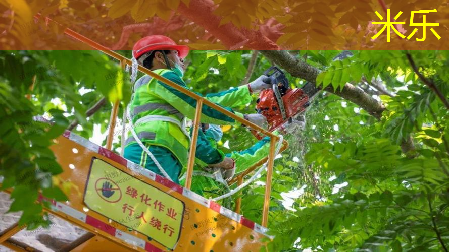 mile·米乐m6：网球拍握把底盖怎么换