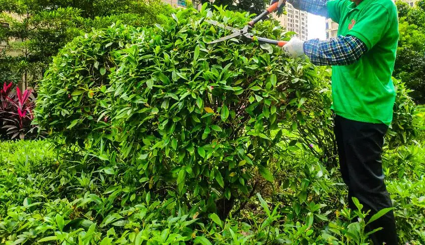 米乐m6官网：网球拍黑手胶怎么洗白色