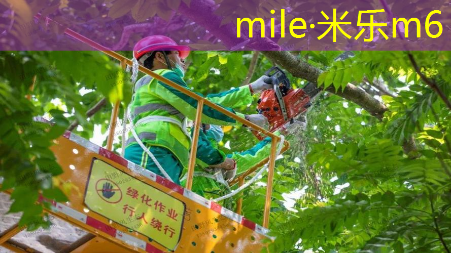 网球拍单人训练器松紧绳