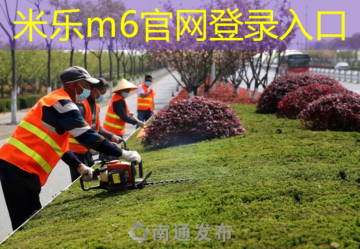 米乐m6官网：大胆尝试，收获成就！室外用吊环带给你梦想舞台