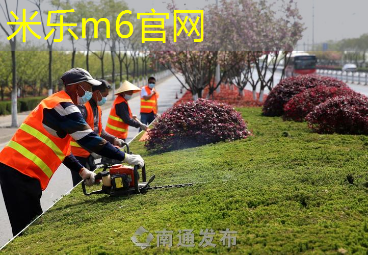 网球拍最多多长的杆