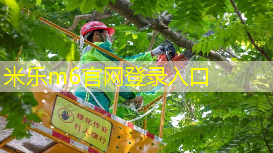 济南体育中心网球拍穿线