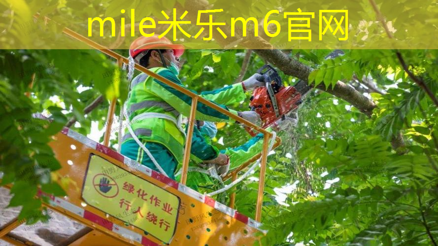 网球拍如何钉在墙上装饰