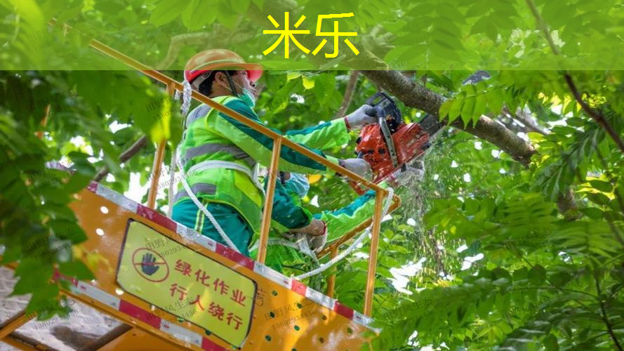 儿童初学者如何选网球拍