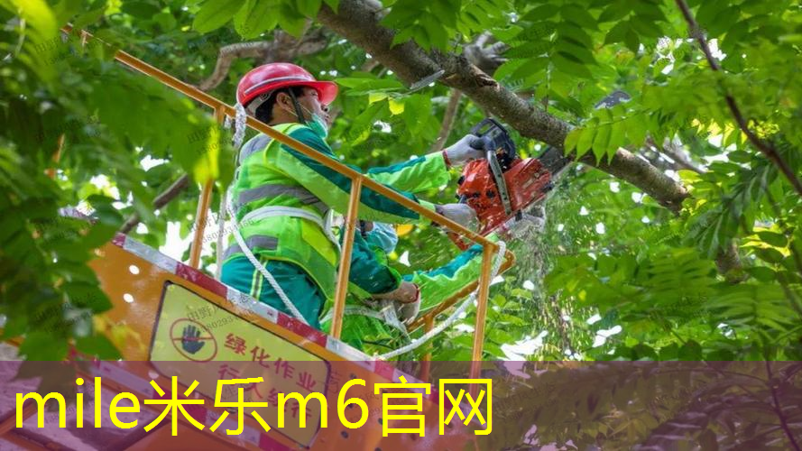 网球拍备用拍选择哪种最好