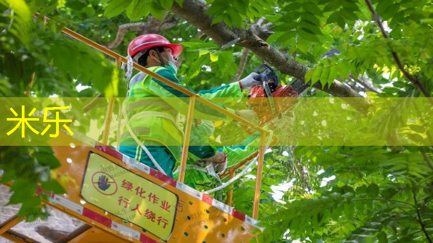 网球拍飞机上怎么放下来