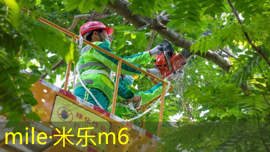网球拍握把底盖怎么换
