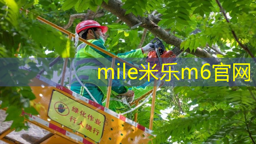 网球拍电脑拉线怎么拉的