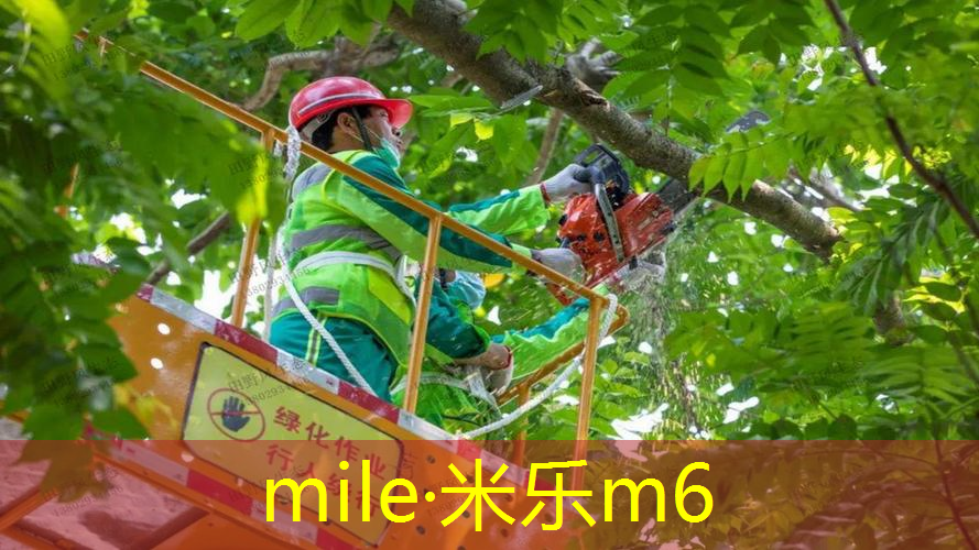 女生室内跑步健身
